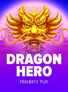 Dragon Hero